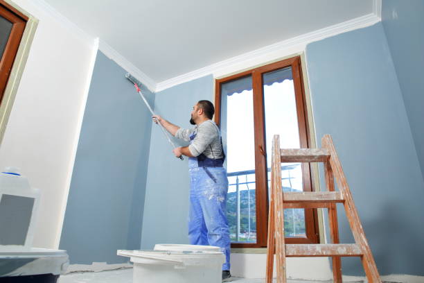 Best Mold Damage Restoration  in Cicero, IN