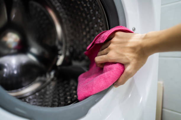 Best Mold Odor Removal Services  in Cicero, IN