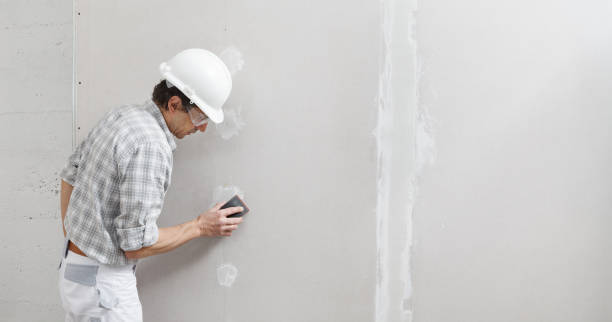 Best Emergency Mold Remediation  in Cicero, IN