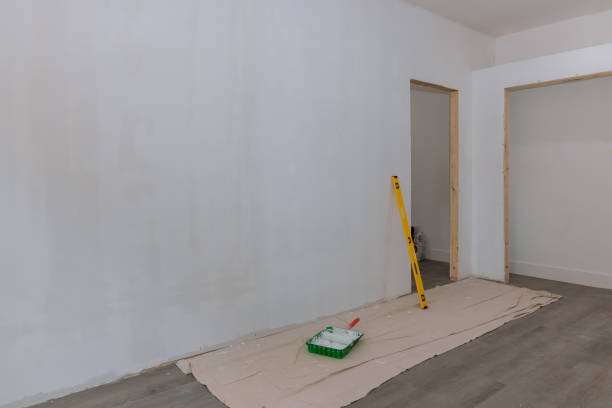 Best Mold Removal for HVAC Installations  in Cicero, IN