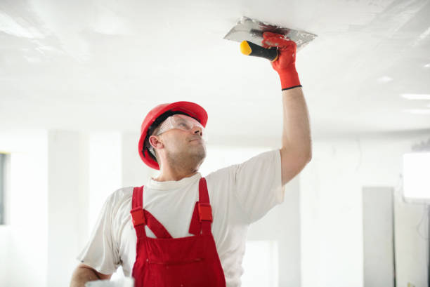 Best Mold-Related Health Consultation  in Cicero, IN