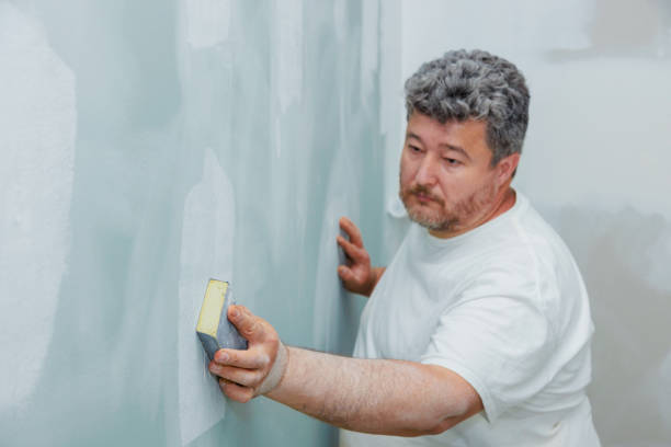 Best Commercial Mold Inspection  in Cicero, IN