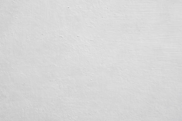 Mold Documentation for Insurance Claims in Cicero, IN