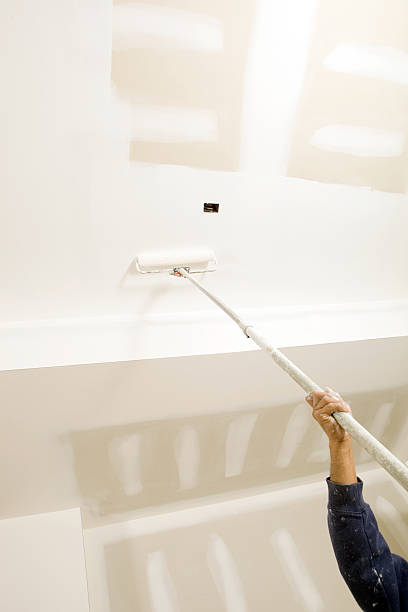 Environmental Consulting for Mold Prevention in Cicero, IN