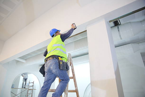  Cicero, IN Mold Removal Pros