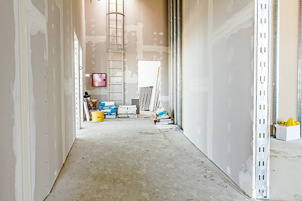 Best HVAC Mold Inspection and Cleaning  in Cicero, IN