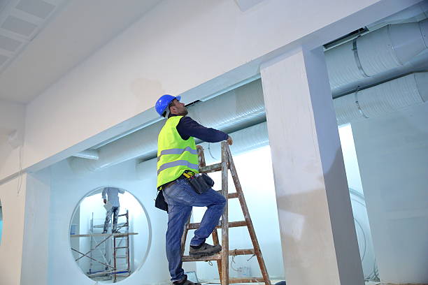 Best Water Damage & Mold Remediation  in Cicero, IN